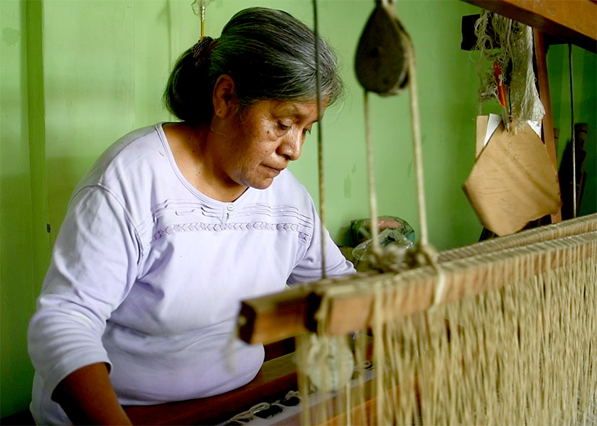 oddafip_amandine%20petroff1